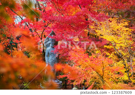 autumn foliage tunnel and Guanyin statue at Eikando garden, Kyoto 123387609