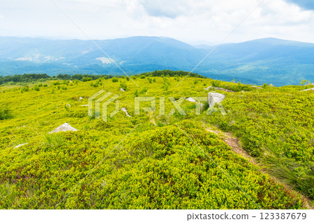 trail through green grassy hill. carpathian mountain landscape in summer. alpine highlands of ukraine on a cloudy day. travel background of smooth mountain 123387679