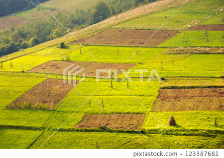 countryside mountain landscape. carpathian climate. green fields, arable and trees on the hill in dappled light. scenery of volovets rural area in transcarpathia region on a cloudy day in early autumn 123387681
