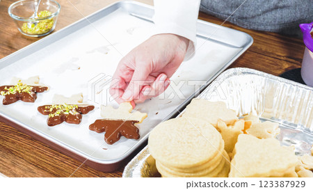 Crafting star-shaped holiday cookies dipped in chocolate and sprinkled with variety of toppings. 123387929