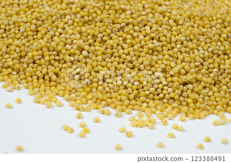 Uncooked organic raw millet grains close-up background Uncooked organic raw millet grains close-up background 123388491