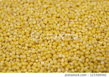 Uncooked organic raw millet grains close-up background 123388492