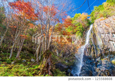 Okura Falls Forest Park Okura Falls (Kiyomi Town, Gifu Prefecture) Okura Falls Forest Park Okura Falls (Kiyomi Town, Gifu Prefecture) 123388608
