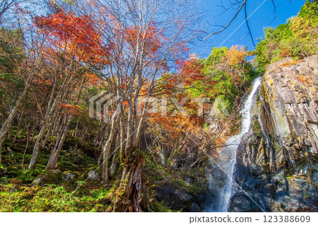 Okura Falls Forest Park Okura Falls (Kiyomi Town, Gifu Prefecture) Okura Falls Forest Park Okura Falls (Kiyomi Town, Gifu Prefecture) 123388609