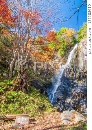 大倉瀑布森林公園大倉瀑布（岐阜縣清見町） 123388610