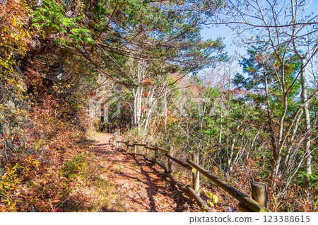 紅葉季節的岐阜縣清見町“大倉瀑布散步道” 紅葉季節的岐阜縣清見町“大倉瀑布散步道” 123388615