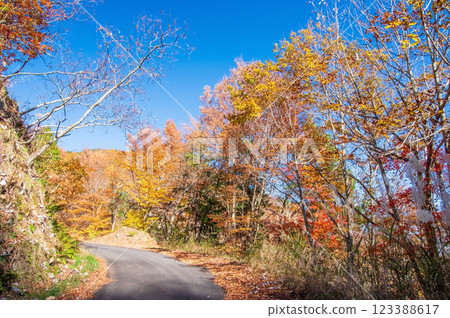紅葉季節的岐阜縣清見町“大倉瀑布散步道” 123388617