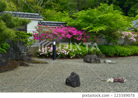 杜鵑寺內盛開的杜鵑花 123389078
