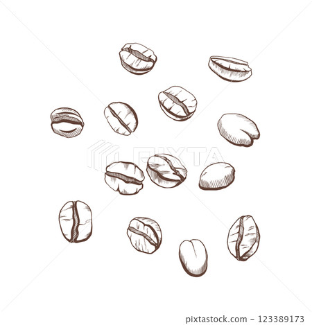 Coffee beans scattered in black and white vector illustration. Minimalistic, elegant design perfect for packaging, labels, or coffee-themed projects, emphasizing natural and organic aesthetics Coffee beans scattered in black and white vector illustration. Minimalistic, elegant design perfect for packaging, labels, or coffee-themed projects, emphasizing natural and organic aesthetics 123389173