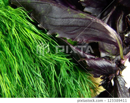 Green vegetables waiting for cooking preparation process to start, green vegetables close view background Green vegetables waiting for cooking preparation process to start, green vegetables close view background 123389411
