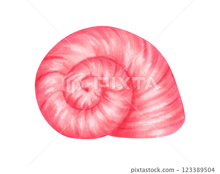 Spiral shell. Watercolor and marker illustration. Bivalves sketch. Hand drawn isolated art. Wild underwater life. Ocean snail. Exotic marine fauna. Shell for menu design, baby bath, swimsuit 123389504
