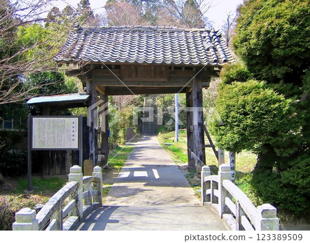 2006年淺勝寺春梅花 2006年淺勝寺春梅花 123389509