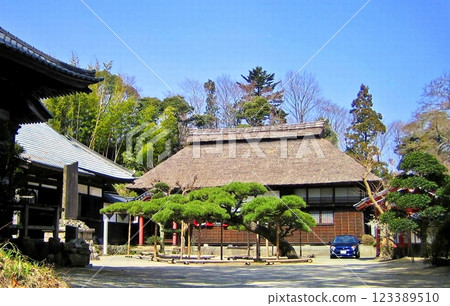 2006年淺勝寺春梅花 2006年淺勝寺春梅花 123389510