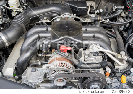 [Engine] Horizontally opposed 6-cylinder engine 123389630