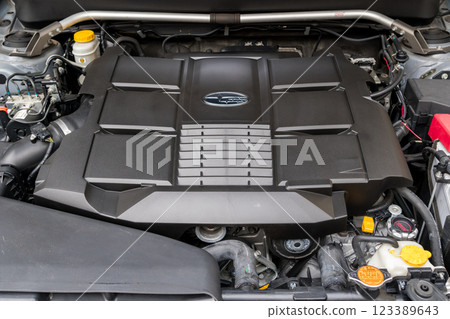 【引擎】水平對置6缸引擎及引擎蓋 123389643