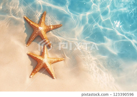 Starfish on the sand beach in clear sea water. Summer background. Summer time .Copy space. Relaxing on the beach. Starfish on the sand beach in clear sea water. Summer background. Summer time .Copy space. Relaxing on the beach. 123390596