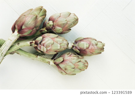 Globe Artichokes, Close View Background Globe Artichokes, Close View Background 123391589