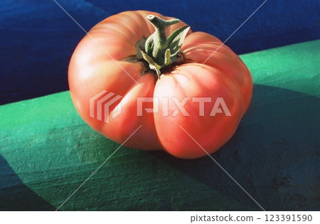 Beef Tomato Background 123391590