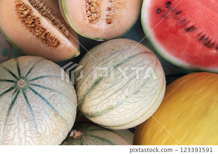 Variety of Melons Background 123391591