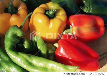 Colorful Variety of Peppers, Food Photography, Close View Background Colorful Variety of Peppers, Food Photography, Close View Background 123391597
