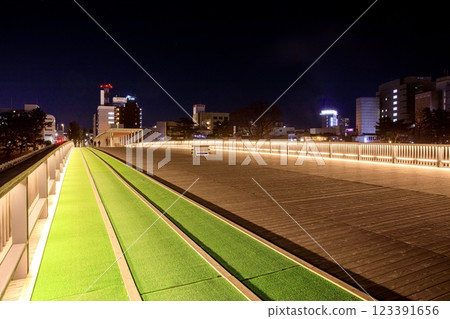 Night view of Sakurajo Bridge, Okazaki City Night view of Sakurajo Bridge, Okazaki City 123391656