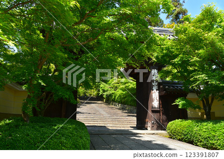 光明寺 - 新綠盎然的正門 光明寺 - 新綠盎然的正門 123391807