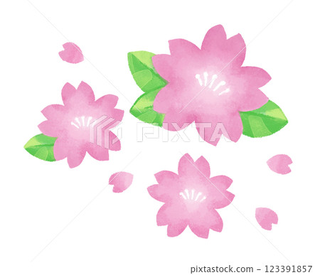 Cherry blossoms (no lines) 123391857