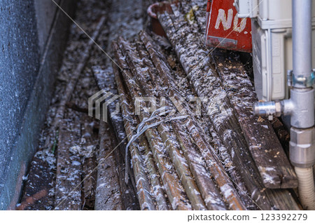 Pigeon droppings damage 123392279