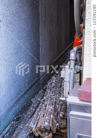 Pigeon droppings damage 123392280