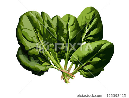 Spinach realistic illustration material set (AI generated, transparent PNG) 123392415