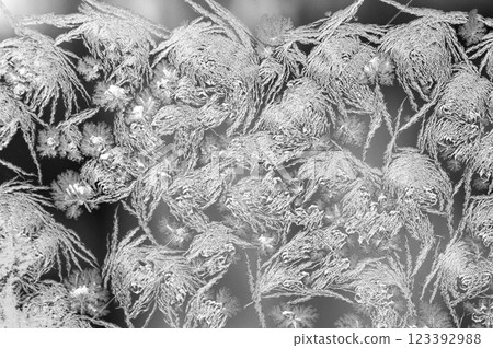 Frosty natural pattern on winter window glass. Winter background. The frosty pattern on the glass is a miracle of nature. Frosty natural pattern on winter window glass. Winter background. The frosty pattern on the glass is a miracle of nature. 123392988
