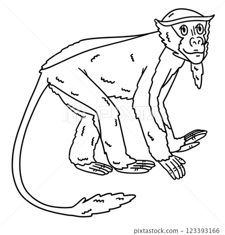 Diana Monkey Animal Isolated Coloring Page  123393166
