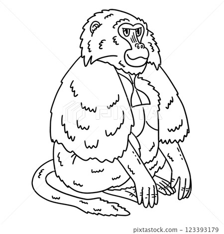Gelada Monkey Animal Isolated Coloring Page  123393179