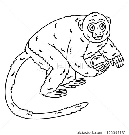 Night Monkey Animal Isolated Coloring Page  123393181