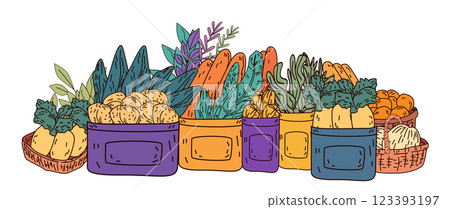 Vegetable baskets colorful produce farm market. Fresh vegetables in containers with leafy greens carrots potatoes and herbs. Organic food theme 123393197