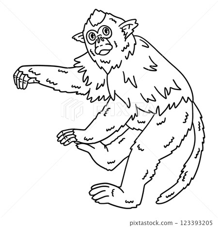 Golden Snub Nosed Monkey Isolated Coloring Page  123393205