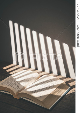 Light streaming in, stylish foreign books and dried flowers Light streaming in, stylish foreign books and dried flowers 123393266