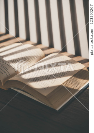 射進來的光線、時尚的外文書籍和乾燥花 射進來的光線、時尚的外文書籍和乾燥花 123393267