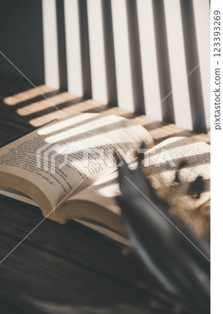 射進來的光線、時尚的外文書籍和乾燥花 射進來的光線、時尚的外文書籍和乾燥花 123393269