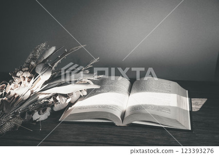 Light streaming in, stylish foreign books and dried flowers 123393276
