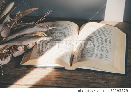 射進來的光線、時尚的外文書籍和乾燥花 射進來的光線、時尚的外文書籍和乾燥花 123393279