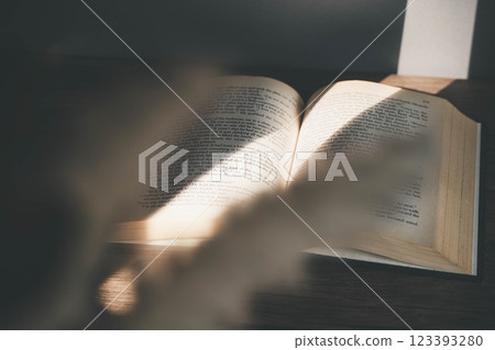 Light streaming in, stylish foreign books and dried flowers 123393280