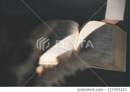 Light streaming in, stylish foreign books and dried flowers 123393281