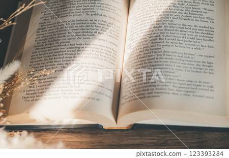 Light streaming in, stylish foreign books and dried flowers Light streaming in, stylish foreign books and dried flowers 123393284