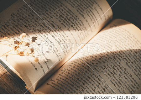 Light streaming in, stylish foreign books and dried flowers 123393296