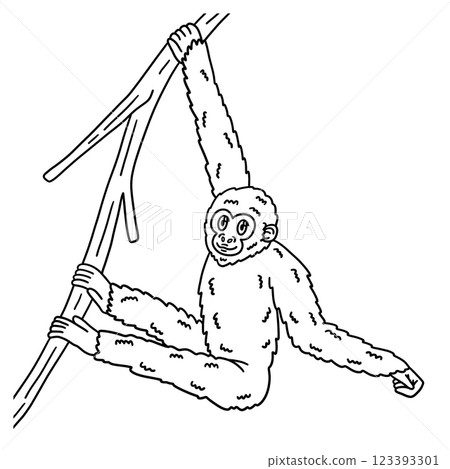 Gibbon Apes Animal Isolated Coloring Page for Kids 123393301