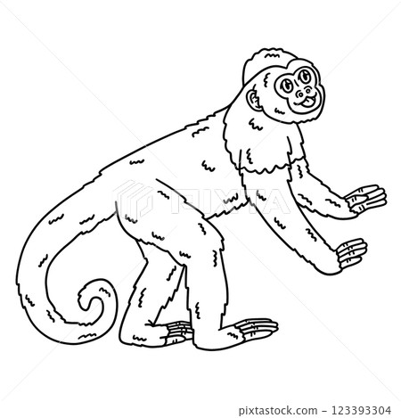 Capuchin Monkey Animal Isolated Coloring Page Capuchin Monkey Animal Isolated Coloring Page 123393304