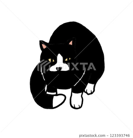 Full-body illustration of a black and white cat sitting facing up Full-body illustration of a black and white cat sitting facing up 123393746