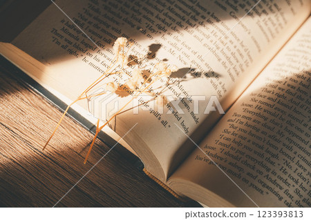 A book with sunlight coming through a window, a magnifying glass and dried flowers A book with sunlight coming through a window, a magnifying glass and dried flowers 123393813