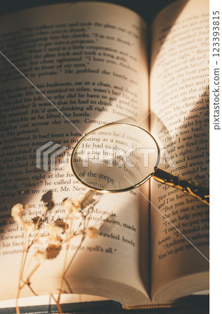 一本書，陽光透過窗戶，放大鏡和乾燥花 123393815